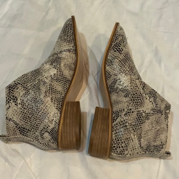 CCOCCI Shoes Ccocci Boyfriend Booties Snake Print 75